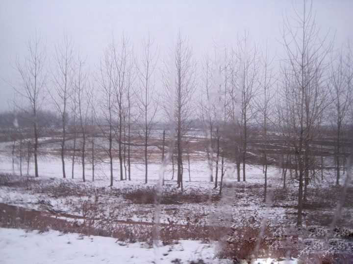 7d03a18dly1fn9gxnqi4sj20k00f078p.jpg