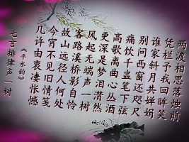 psc.webp(33).jpg