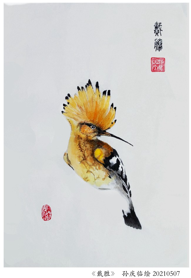 210515-é´ç£å¨_éîæ¹°.jpg
