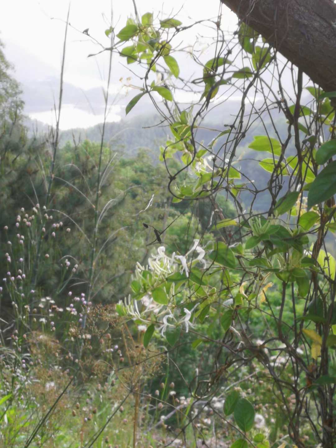 微信图片_20210712200947.jpg