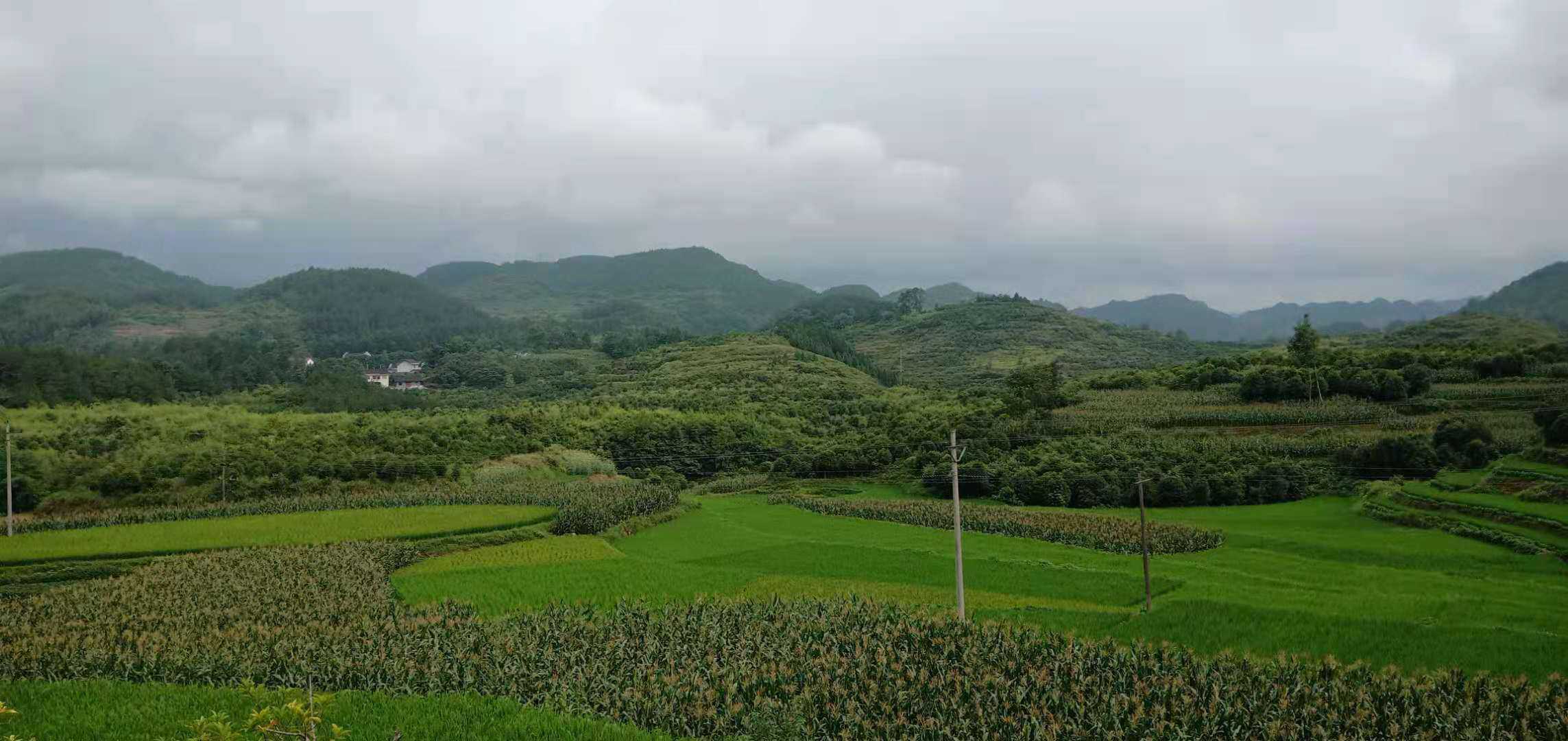 微信图片_20210720104205.jpg