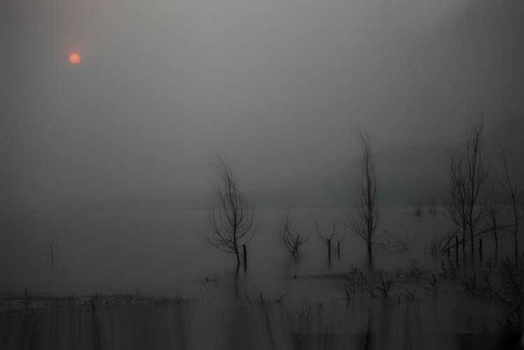 010101010(1).jpg