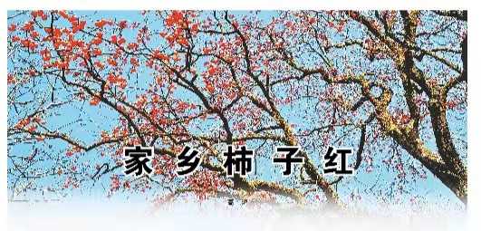 标题图片.jpg