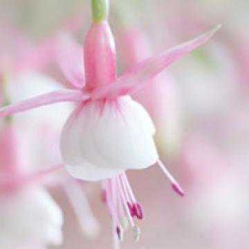 1637553286439782.jpg 2345_image_file_copy_12.jpg