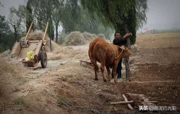微信图片_20220505114915.jpg