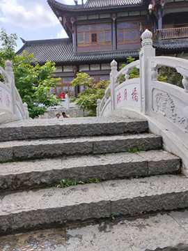 家乡的苦荞图片_20220423151717_副本.jpg