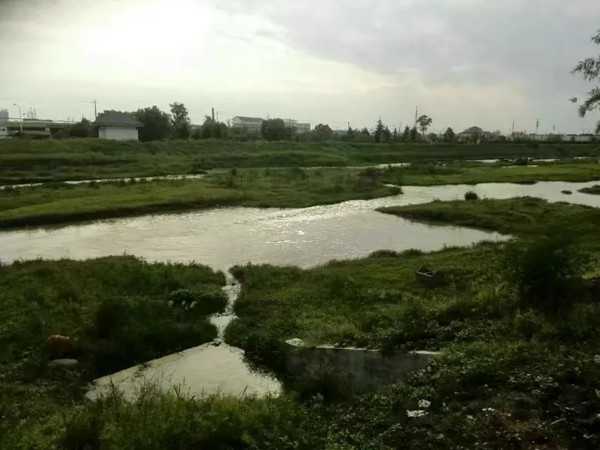 玛瑙河2.webp.jpg