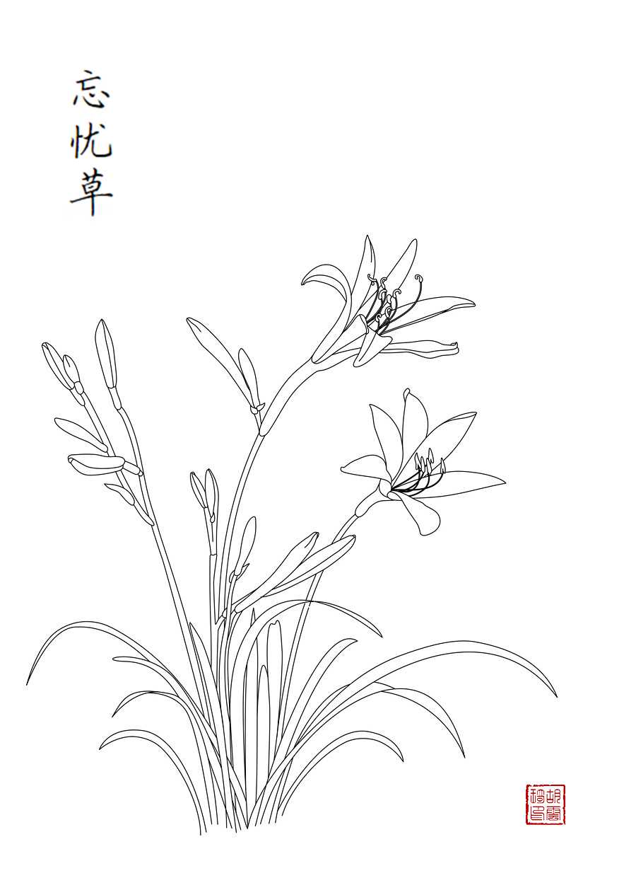 1662726979236988.jpg 金针菜.jpg