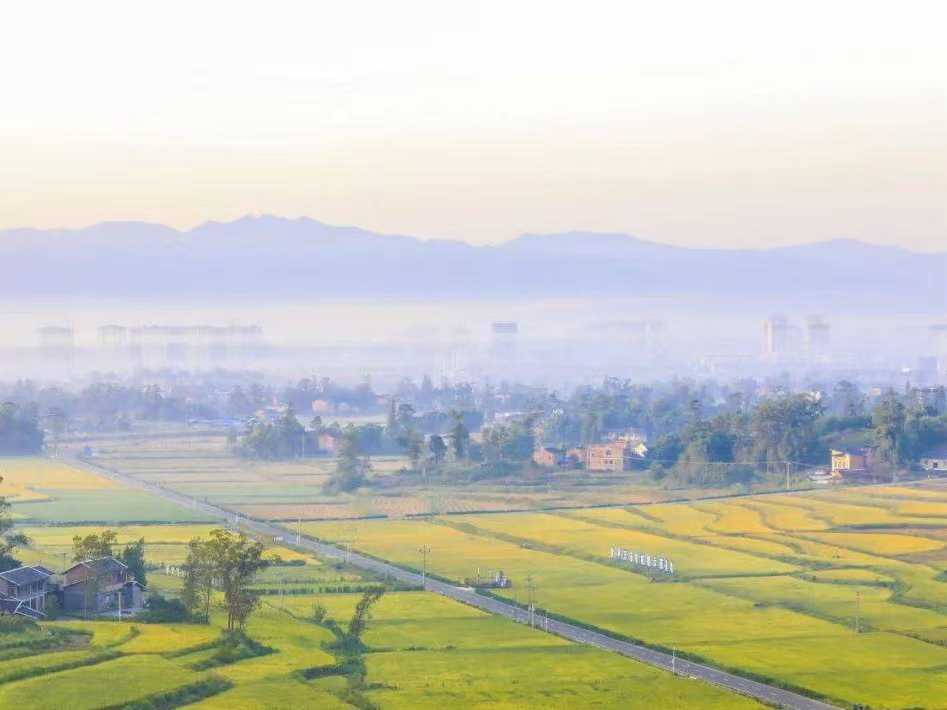 村野.jpg