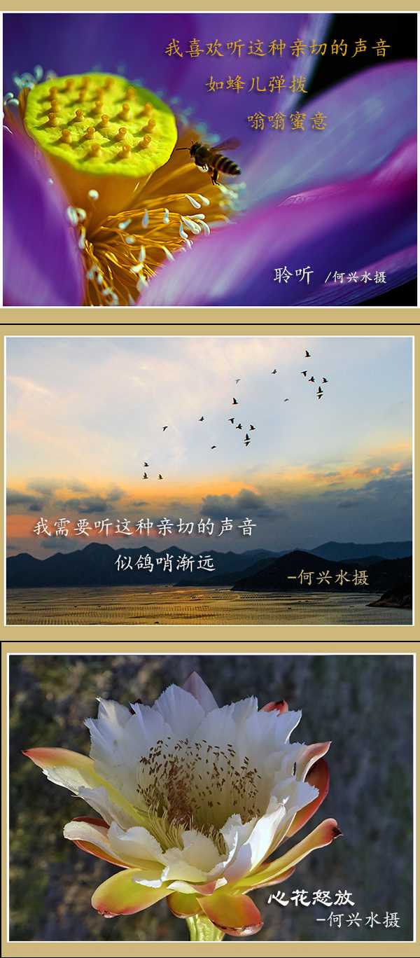 聆听2022-9-29(4).jpg