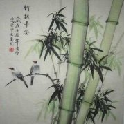 陕南瘦竹的头像