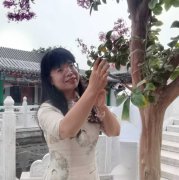 王晓菊的头像