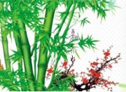 常乐的头像