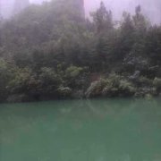 崇山小农的头像