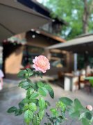 孙海茗的头像
