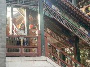 卡门的头像