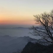 水映千江的头像