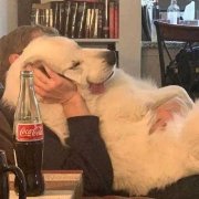 孤独与狼的头像