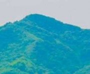 晓畅的头像