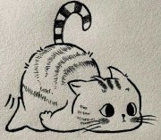 刁猫的头像