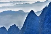 橡树林的头像