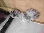 桥上人不知冬雪的头像