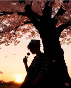 浅鸟飞鱼的头像