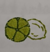 四时海棠的头像