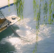 任凭风吹浪打的头像