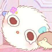 椎默的头像