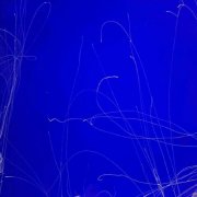 玄枵清言Echo的头像