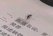 余烬的头像