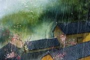 宿雨的头像