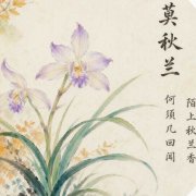 莫秋兰的头像