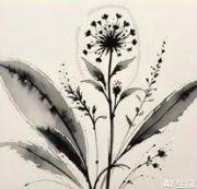 麻蒋胡辣汤的头像