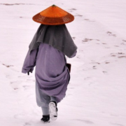 刘海亮的头像