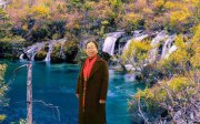 杨光英的头像