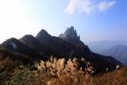 山川的头像